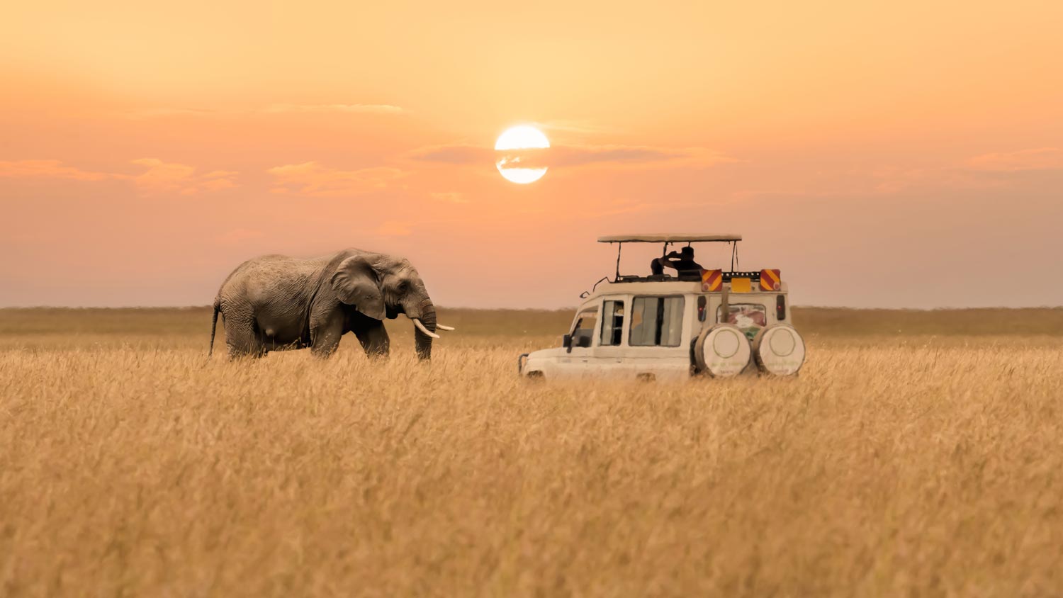 Elephant crossing the plains near a safari vehicle at sunset
